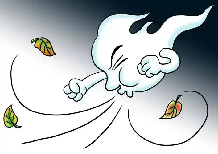 大风天高速开车注意事项：降速控距防横风